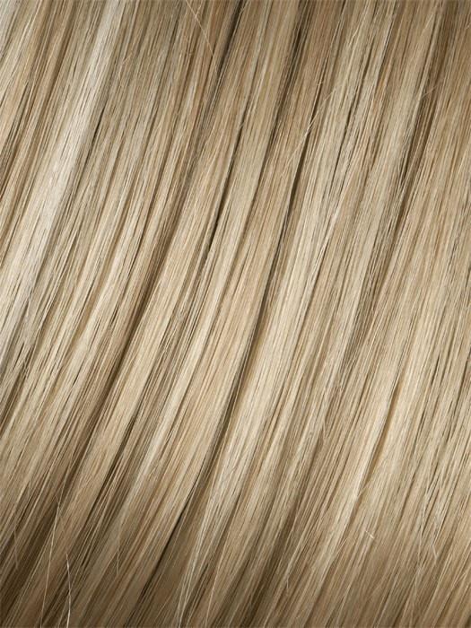 223/23C SUGAR COOKIE | Meduim Honey Blonde with Light Blonde blends and Platinum Blonde highlights