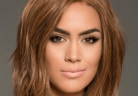 Human Hair Wigs