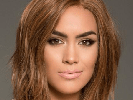 Human Hair Wigs
