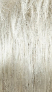 CHAMPAGNE-SILVER | Platinum Blonde and Light Grey Blended with Soft, Light Blonde at the face line