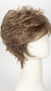 R12/26H | Light Brown with Golden Blonde Highlights on Top