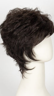 R2/4 | Darkest Brown Blended With Dark Brown