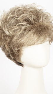 G13 + CAPPUCCINO MIST | Dark blonde base with light neutral blonde highlights