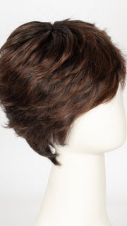 SS4/33 SHADED EGGPLANT | Dark Dark Brown with Subtle Warm Highlights  Roots