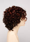 CHOCOLATE CHERRY | Dark Brown roots with overall Medium Brown base with Deep Red highlights
