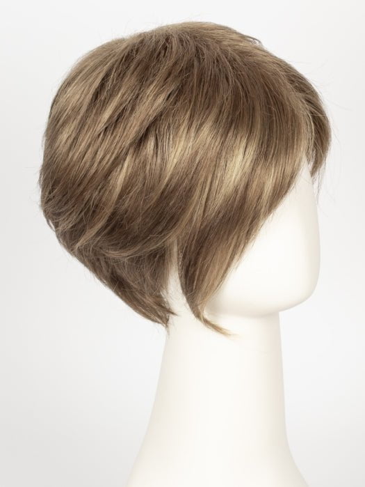 R12/26H | Light Brown with Golden Blonde Highlights on Top