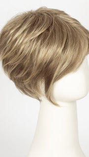 R14/26H | Dark Blonde with Golden Blonde Highlights