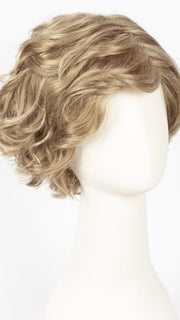 R14/26H | Dark Blonde w/Golden Blonde Highlights