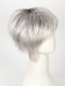Illumina-R | Dark Brownish purple rooted with silver