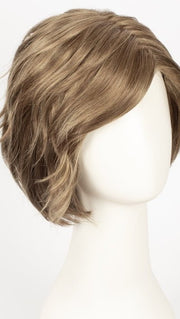 R12/26H | Light Brown w/Golden Blonde Highlights on Top