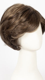 R14/8H | Golden Brown with Dark Blonde Highlights on Top