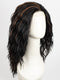 FS1B/30 | 80% Off Black with 20% Copper Blonde Frost