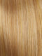 24B/27C BUTTERSCOTCH | Light Gold Blonde & Light Red-Gold Blonde Blend