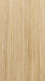 22MB POPPY SEED | Light Ash Blonde & Light Natural Gold Blonde Blend