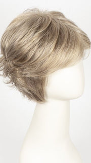 G17+ VANILLA MIST | Cool, ash blonde with lighter tones through the top and sides, progressing to a deeper ash blonde nape