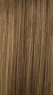 24B18 CHURRO | Dark Natural Ash Blonde & Light Gold Blonde Blend