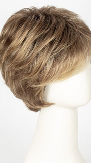 BERNSTEIN MULTI SHADED 12.26.27 | Light Beige Blonde, Medium Honey Blonde, and Platinum Blonde blend