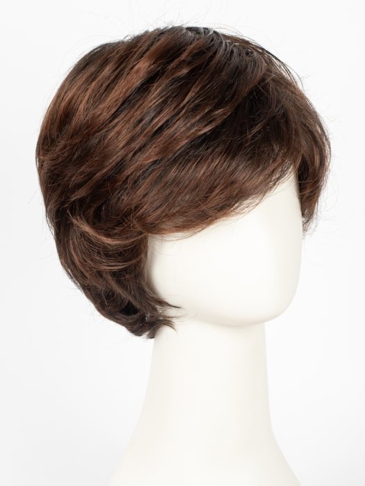 SS4/33 EGGPLANT | Dark Reddish Brown with Black/Brown Lowlights and Roots