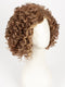 RL31/29 FIERY COPPER | Medium Light Auburn Evenly Blended with Ginger Blonde