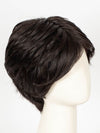 2/4R | Very Dark Brown with highlights
