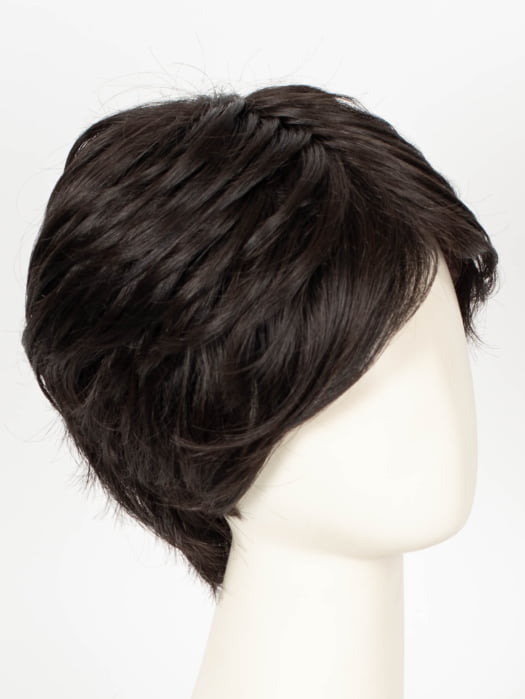 2/4R | Very Dark Brown with highlights