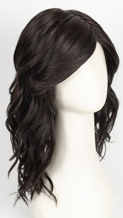 2/4R | Very Dark Brown with highlights