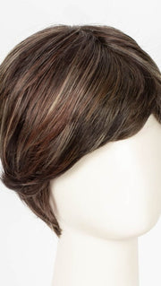 DARK BROWN HL | A Blend of Dark Brown, Strawberry Light Auburn and Soft Chunky Medium and Dark Blonde Highlights.