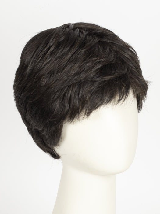 RL2/4 OFF BLACK | Black Evenly Blended with Dark Brown Highlights