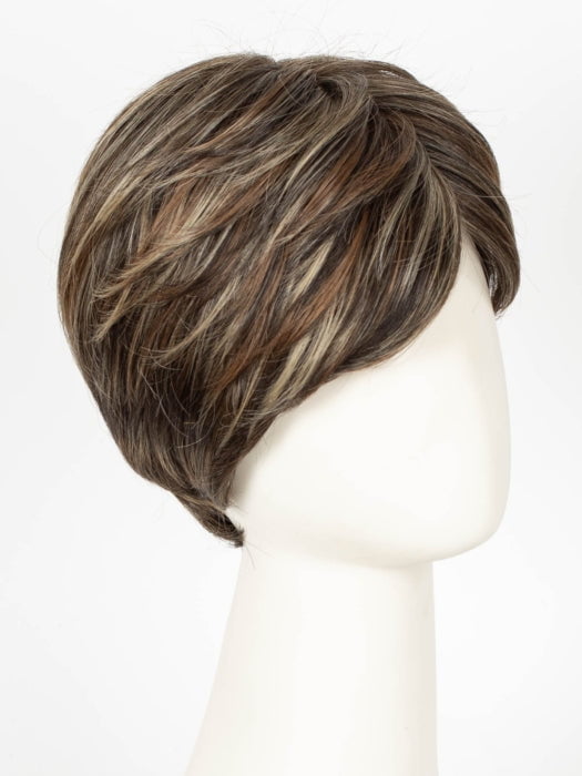 DARK BROWN HL | A Blend of Dark Brown, Strawberry Light Auburn and Soft Chunky Medium and Dark Blonde Highlights.