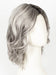 CHROMERT1B | Gray & White With 25% Medium Brown Blend & Off-Black Roots