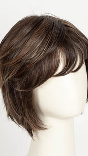 DARK BROWN HL | A Blend of Dark Brown, Strawberry Light Auburn and Soft Chunky Medium and Dark Blonde Highlights