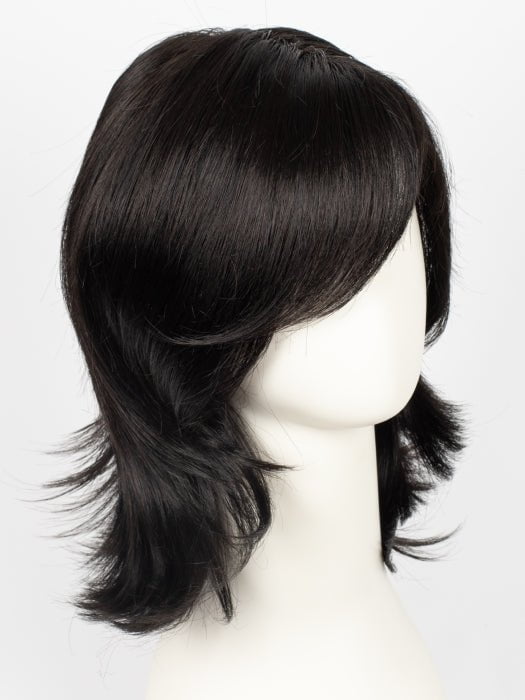 BLACK | Jet Black and Darkest Brown blend