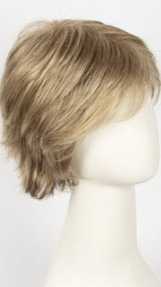 14/24-14 | Lightest Ash Brown blend with Medium Ash Blonde on top, with a Lightest Ash Brown nape