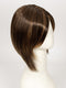 6F27 CARAMEL RIBBON | Brown with Light Red-Gold Blonde Highlights & Tips