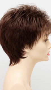 CINNAMON RAISIN | Medium Brown with Auburn and Cinnamon highlights