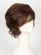 CHESTNUT | Dark and Bright Auburn Evenly Blended