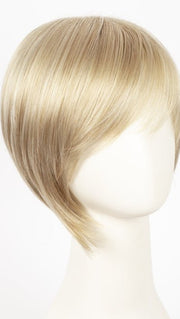 CREAMY-BLONDE | Platinum and Light Gold Blonde evenly blend							
