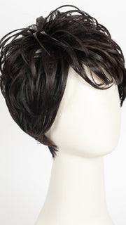FS1B/33 | 80% Off Black with 20% Dark Auburn