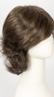 R14/8H | Golden Brown w/Dark Blonde Highlights on Top