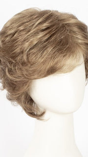 R12/26H | Light Brown w/Golden Blonde Highlights on Top