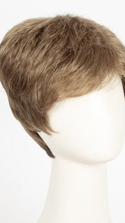 R12/26H | Light Brown w/Golden Blonde Highlights on Top