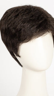 R2/4 | Darkest Brown Blended With Dark Brown