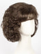 R6/10 | Chestnut Brown Blended With Medium Ash Brown