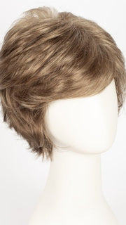 R12/26H | Light Brown w/Golden Blonde Highlights on Top