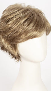 R14/26H | Dark Blonde w/Golden Blonde Highlights