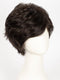 R2/4 | Darkest Brown Blended With Dark Brown