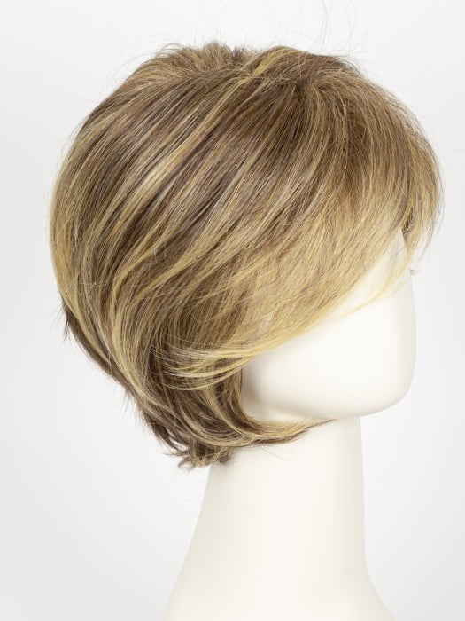 BROWN-BLONDE | Medium to Light Brown with salon highlights