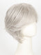 SILVER MIST | Lightest Grey with White Highlights all over