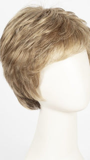 G14+ ALMOND MIST | Light brown base w/ medium golden blonde highlights