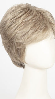 G17+ VANILLA MIST | Cool, ash blonde with lighter tones through the top and sides, progressing to a deeper ash blonde nape
